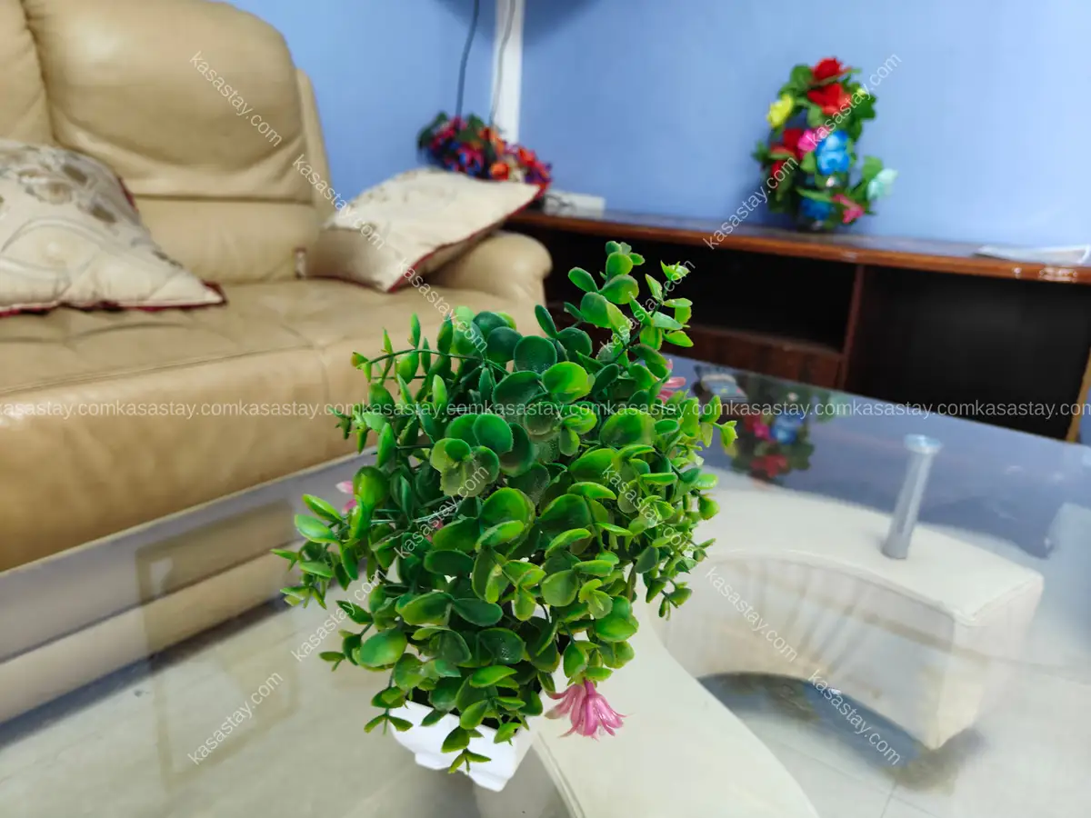 Appartement meublé 101 de la résidence Dema Biyemmasi 2