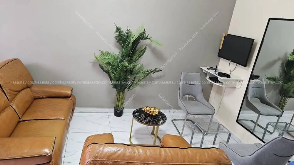 Studio Meublé le Quai d’Orsay A3 a Dovv simbock 2