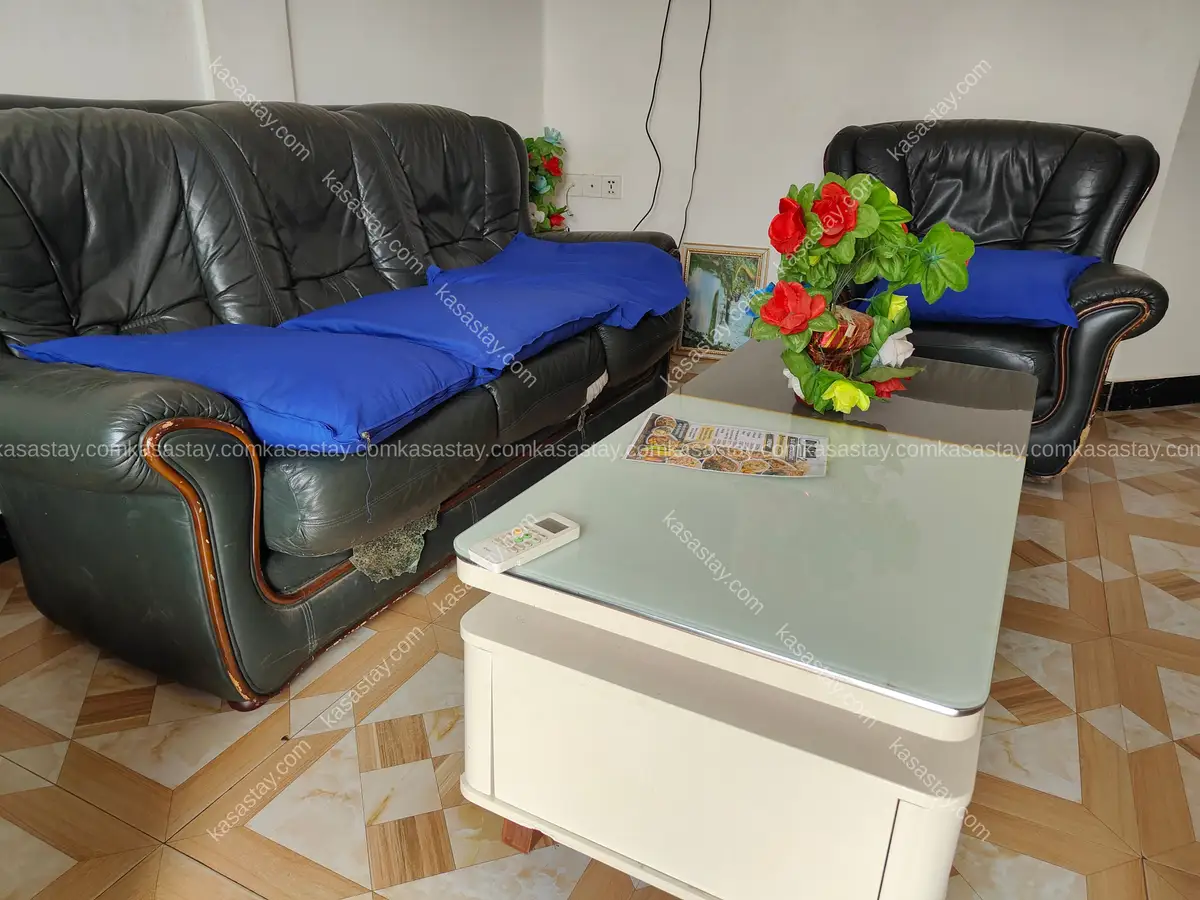 Studio meublé 102 de la résidence Dema Biyemmasi 4