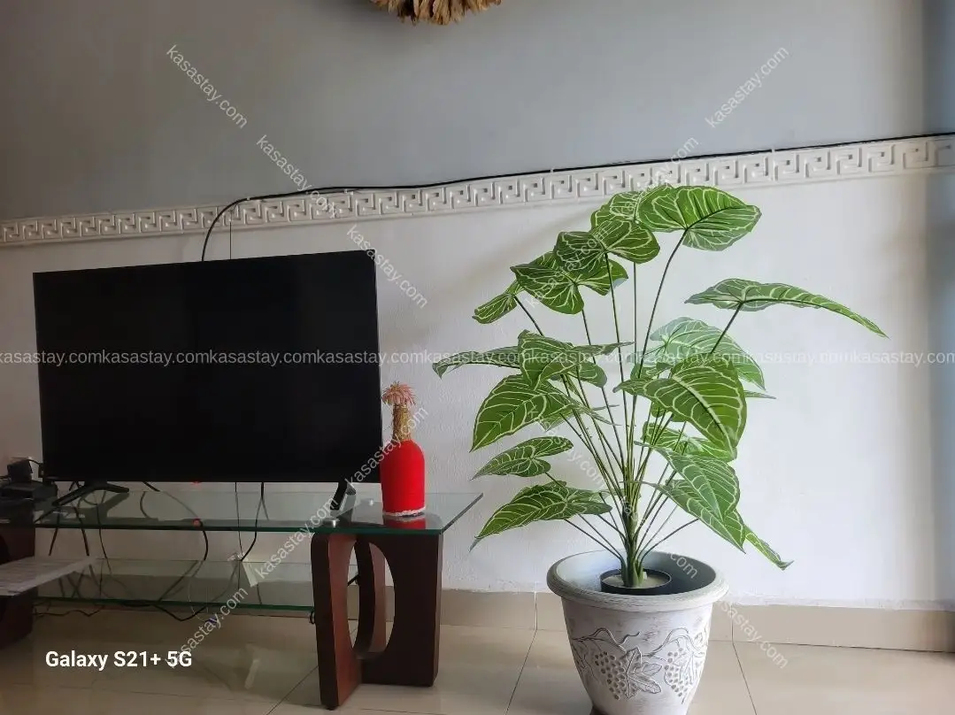 Appartement meublé 1 chambre Kir Bonapriso 4