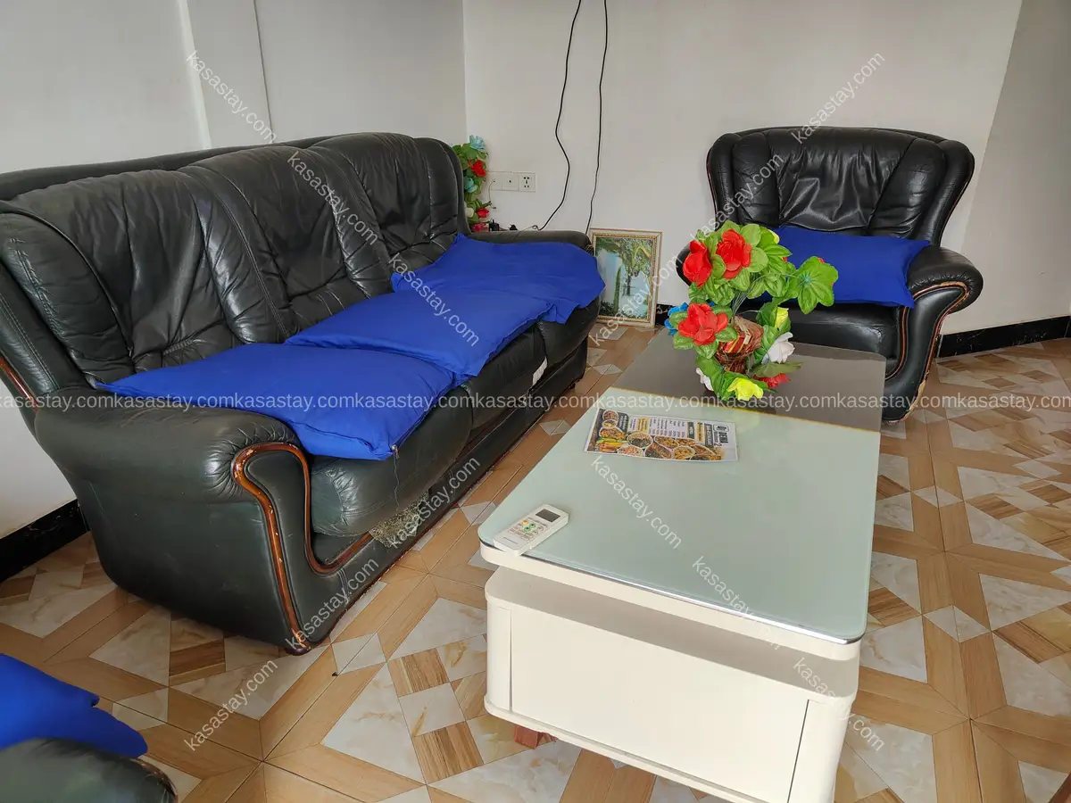 Studio meublé 102 de la résidence Dema Biyemmasi 2