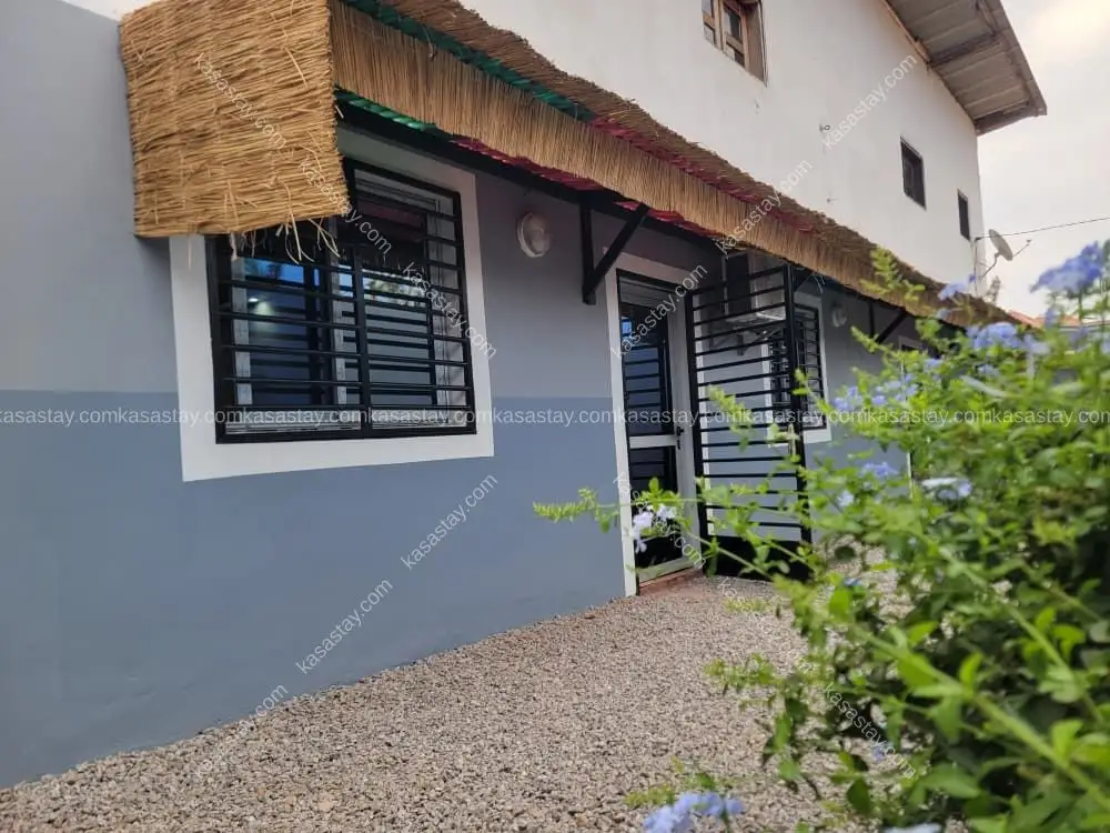 Exotic and modern home. 2