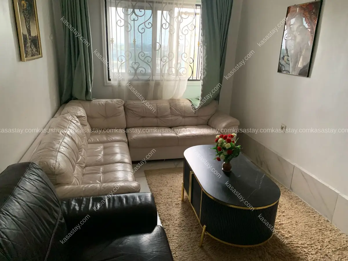 Appartement Meublé BUENA VISTA by Premium Stars ( Bonaberi Stade Mpanjo ) 2