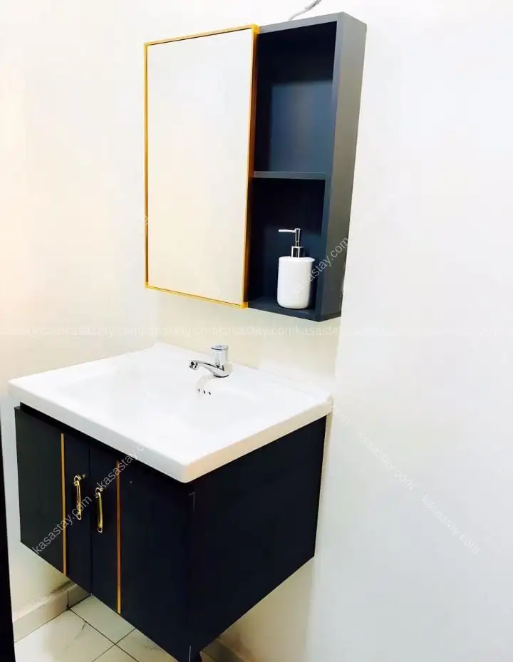 Studio meublés ultra luxueux ODZA BORNE12 4