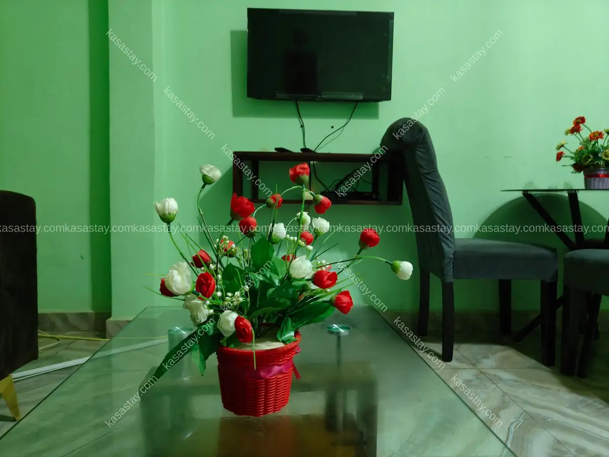 Appartement meublé Amelson 101 3
