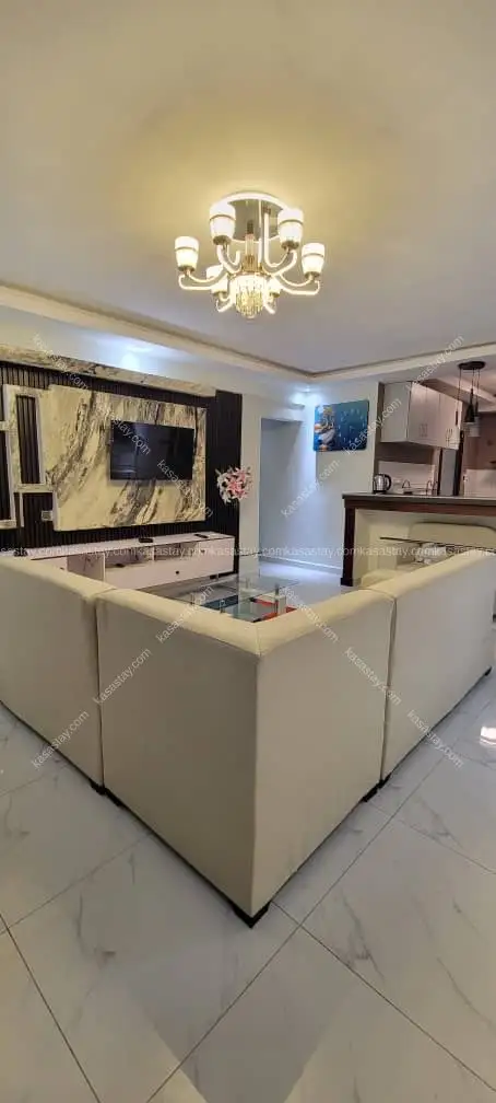 Appartement meublé 1er étage (103)