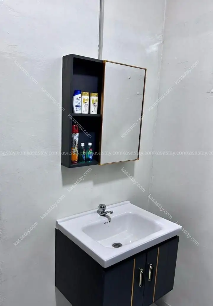 Appartements meublés ultra luxe ODZA BORNE12 5
