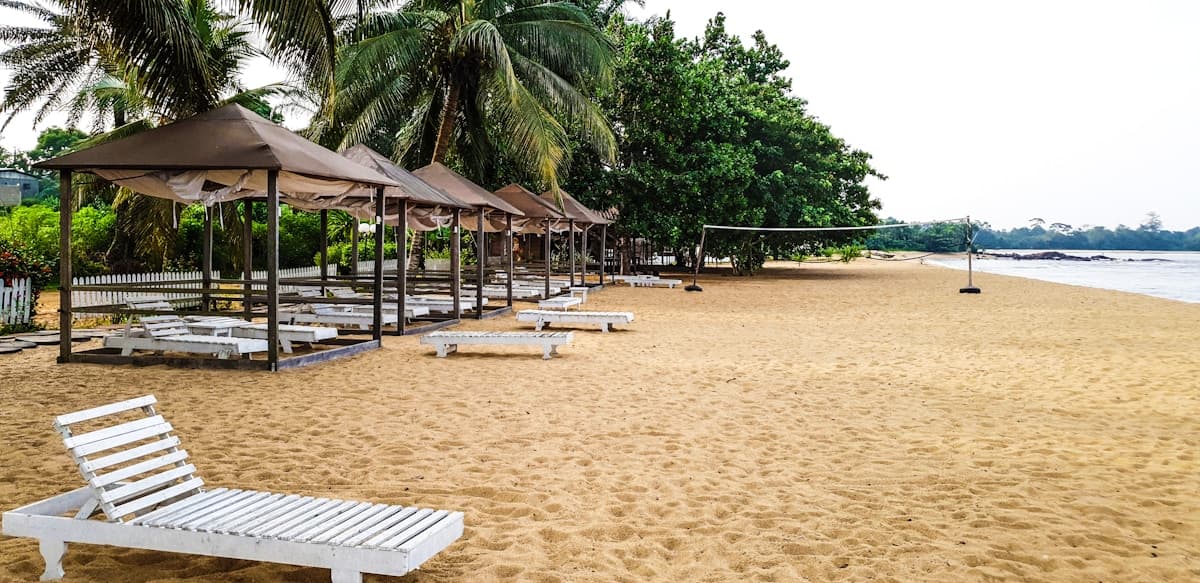 Kribi beach with palm trees, Cameroon